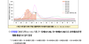 2026 B형 인플루엔자 질병관리청 보도 자료 독감 발생에 따른 백신 예방접종 및 개인 위생관리 안내문입니다.